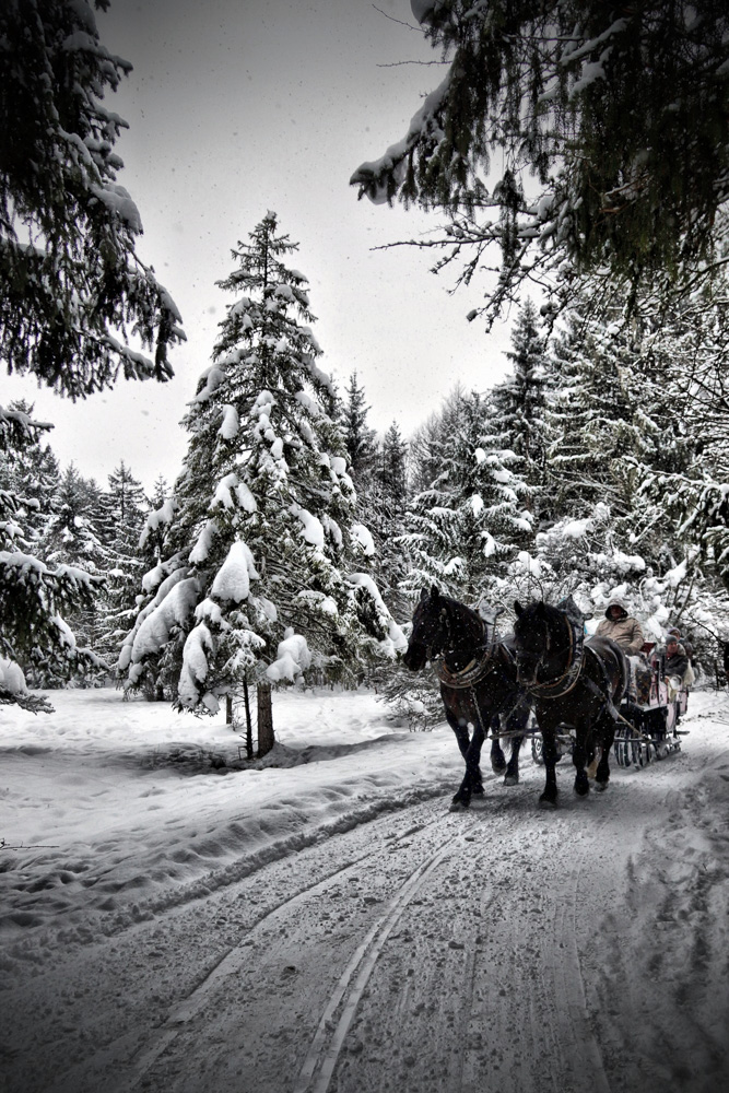 7. Platz Harald Unglert
